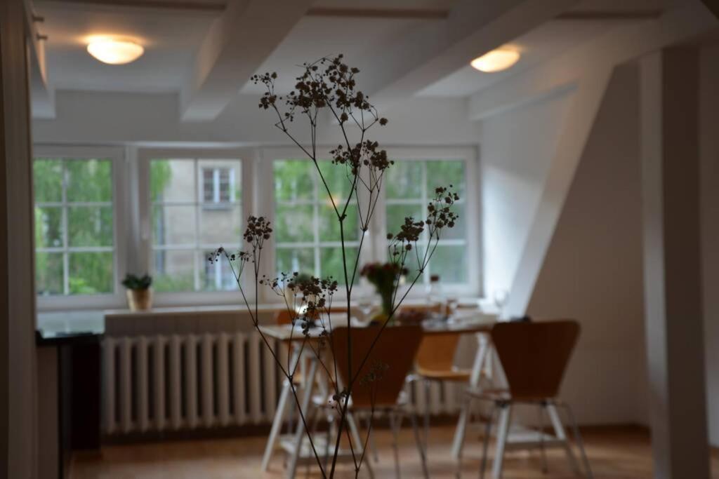 Ines Apartament Two Levels 105M2 In The Old Town Wi-Fi, 올슈틴 외부 사진